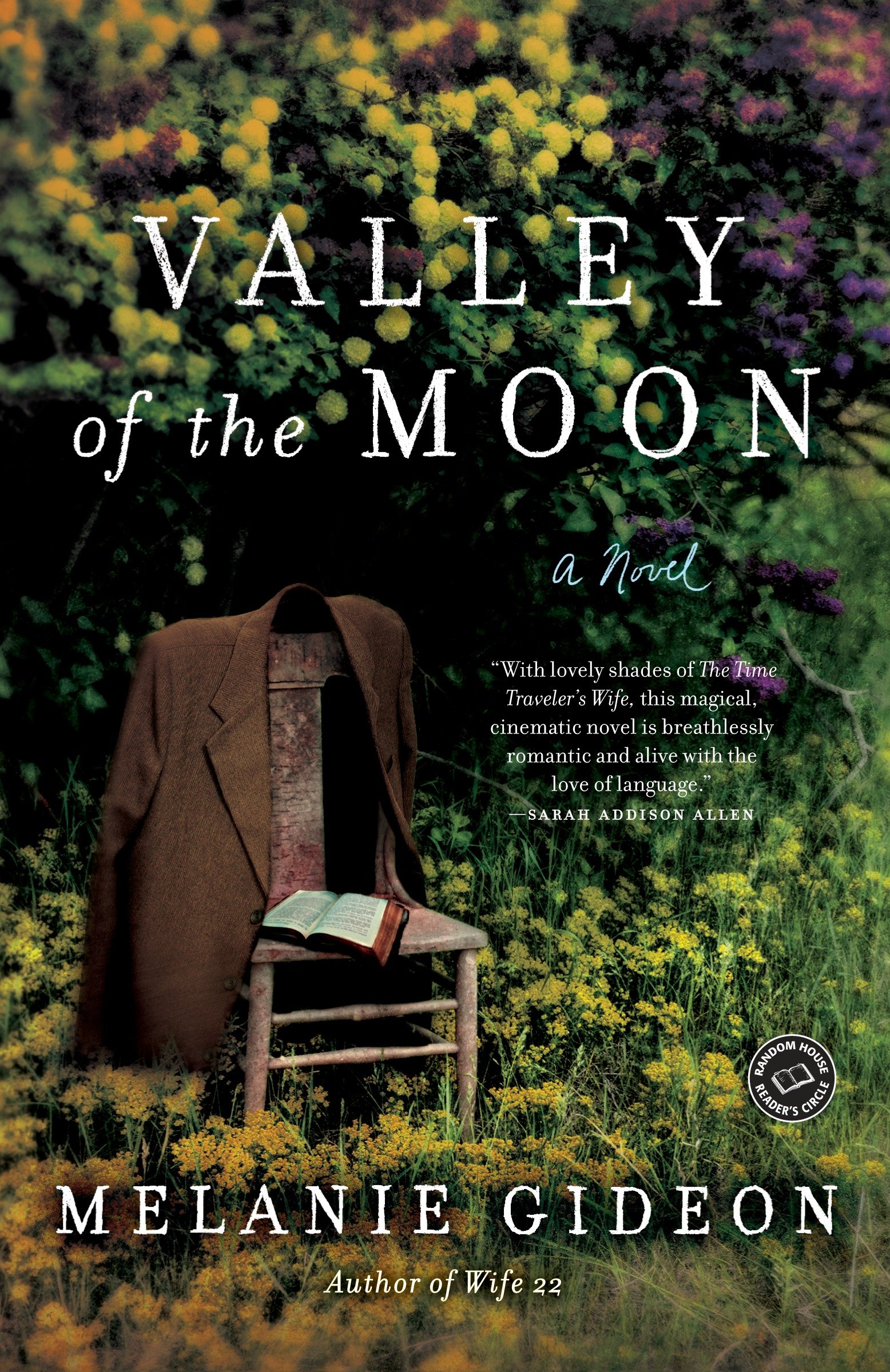 Valley of the moon cover image