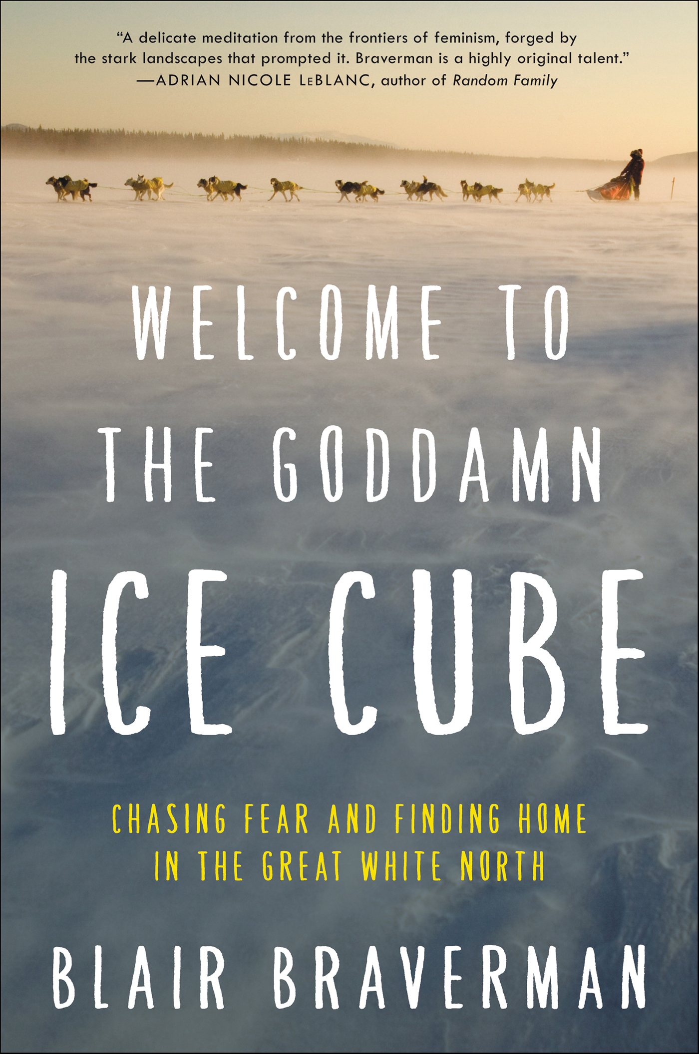 Welcome to the goddamn ice cube chasing fear and finding home in the great white north cover image